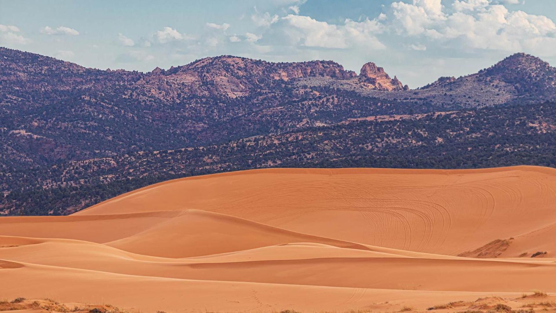 Southern Utah Hidden Gem Near Zion National Park Orderville Exteriör bild